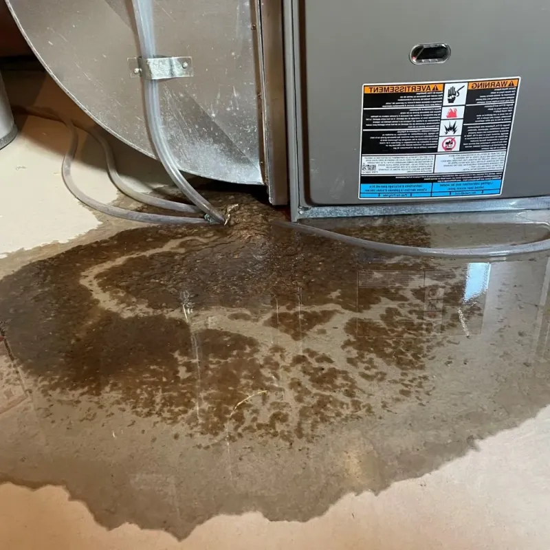 Pipe Burst and Leak Restoration in Brownwood, TX
